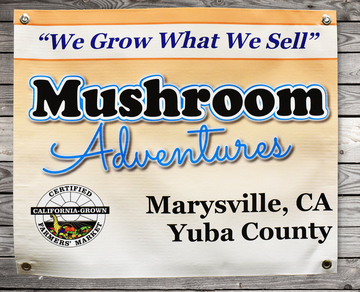 mushroom adventures banner